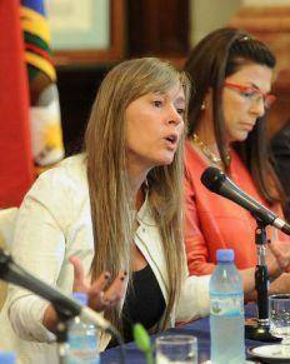 Di Tullio: "La oposici�n hizo alianzas coyunturales para poder jugar en la elecci�n"