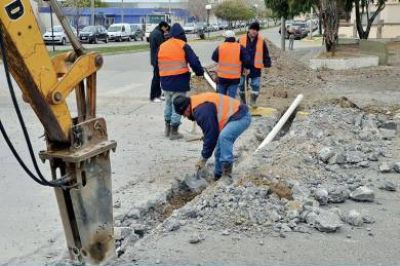 Empezaron los trabajos para el sem�foro de EEUU y Monse�or D�Andrea