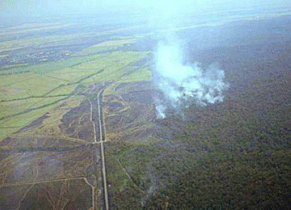 Sombr�o panorama en la lucha contra el fuego en Jujuy