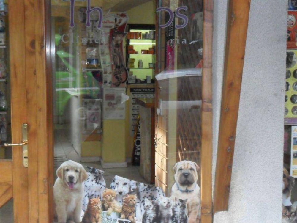 Rompieron todos los vidrios de una veterinaria para robar una jaula: fueron detenidos