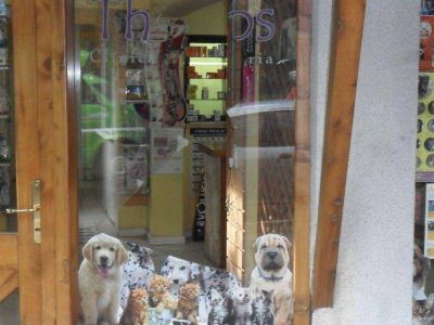 Rompieron todos los vidrios de una veterinaria para robar una jaula: fueron detenidos