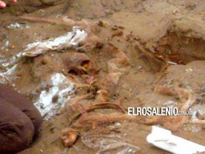 Punta Alta: hallan m�s restos humanos en el cementerio
