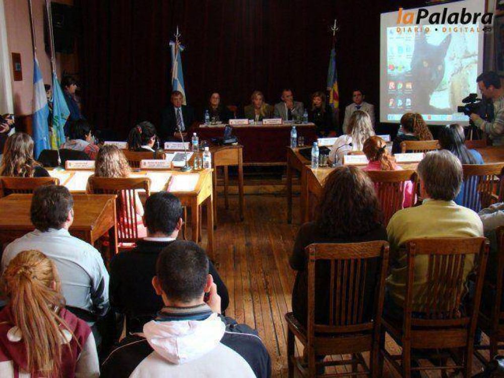 El Parlamento Juvenil del Mercosur 2013 sesion� en el HCD