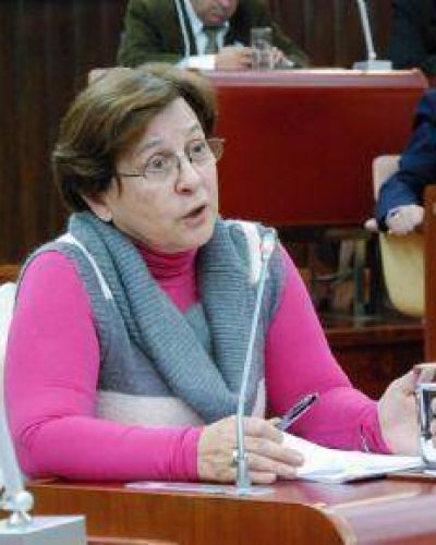 Legislatura: Sin Qu�rum Para La Gripe A