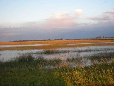 Cinco acu�feros de La Pampa, declarados como "recursos estrat�gicos"