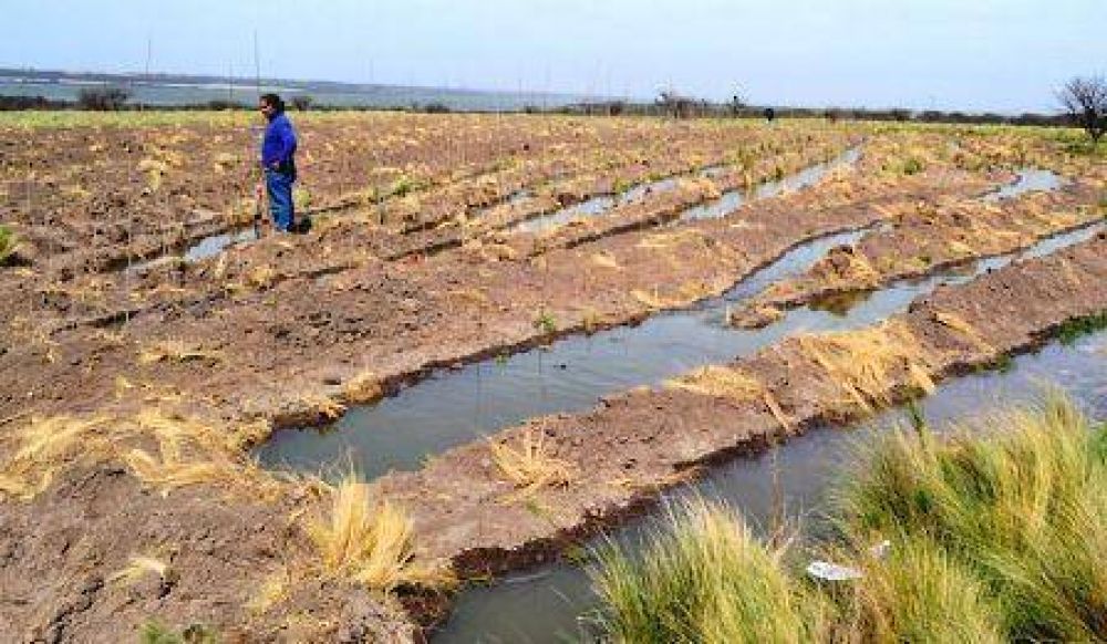 Vivero municipal para arbolado p�blico