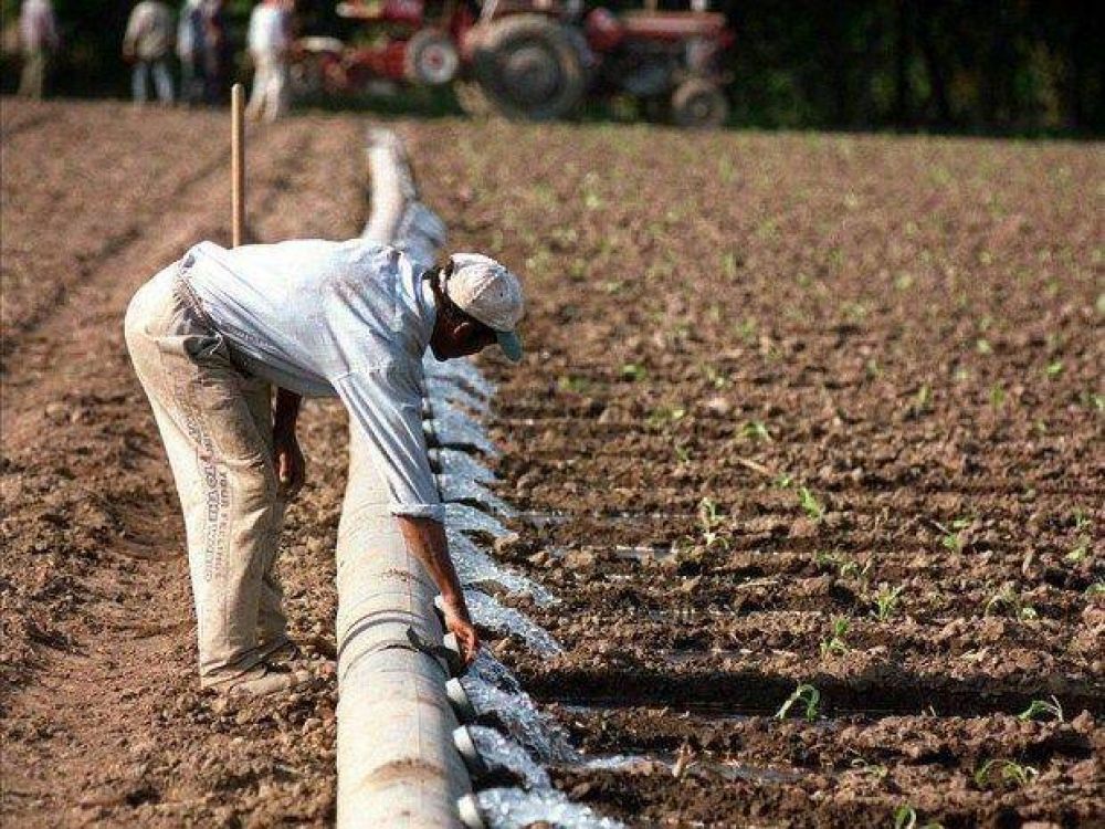 Buscan regularizar a los trabajadores del tabaco