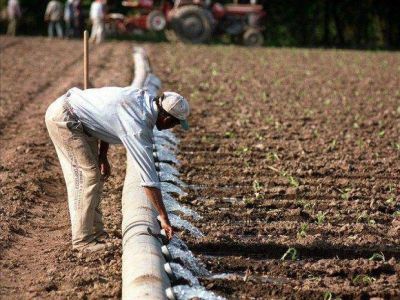Buscan regularizar a los trabajadores del tabaco
