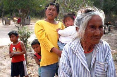Gobierno e IDACh deber�n presentar un informe consensuado ante la justicia