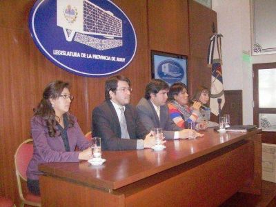 Finaliz� ayer �Mi primer voto�