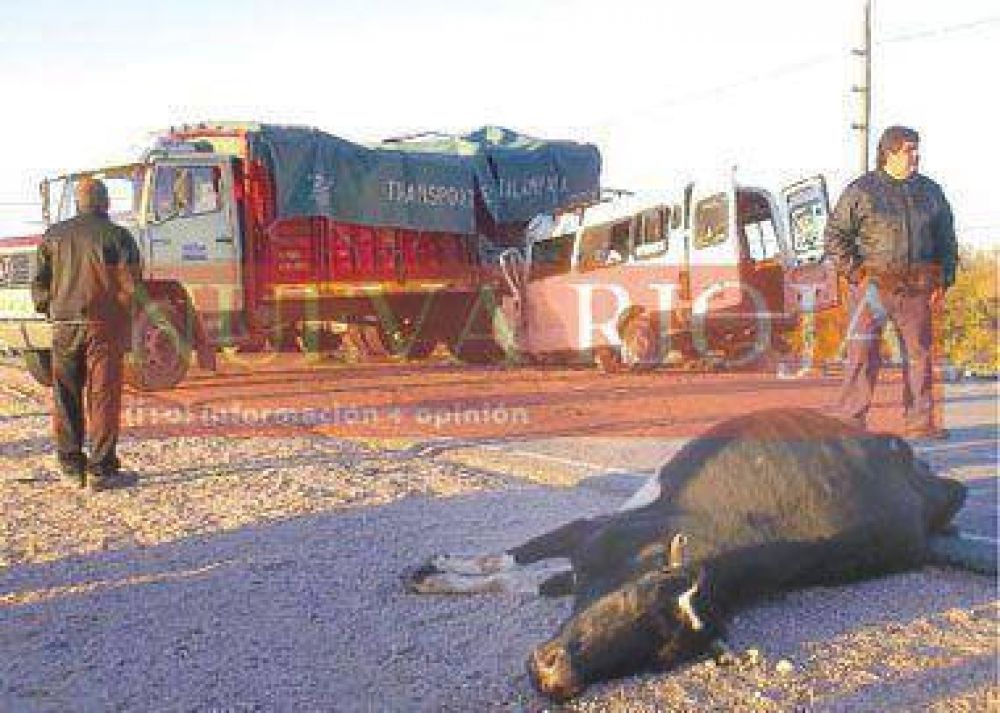 Otro muerto y un tendal de heridos por accidente en Ruta 38