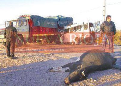 Otro muerto y un tendal de heridos por accidente en Ruta 38