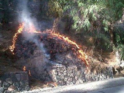 Bomberos controlaron un incendio en la base del Cerro de la Gloria