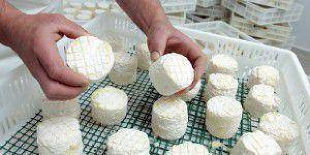 Argentina: 10 pasos para hacer el queso artesanal ms delicioso