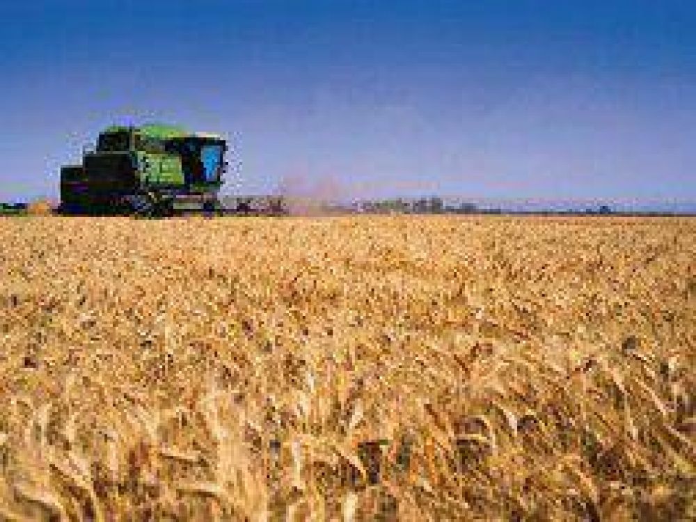 Para el campo, "la problem�tica del trigo debe asumirla el Gobierno nacional"
