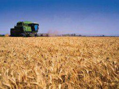 Para el campo, "la problem�tica del trigo debe asumirla el Gobierno nacional"