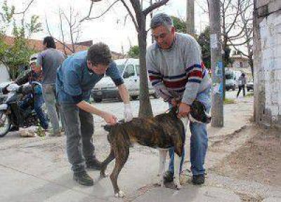 Campa�a de vacunaci�n antirr�bica 2013: prev�n vacunar alrededor de 3 mil mascotas este viernes en el barrio Cuyaya