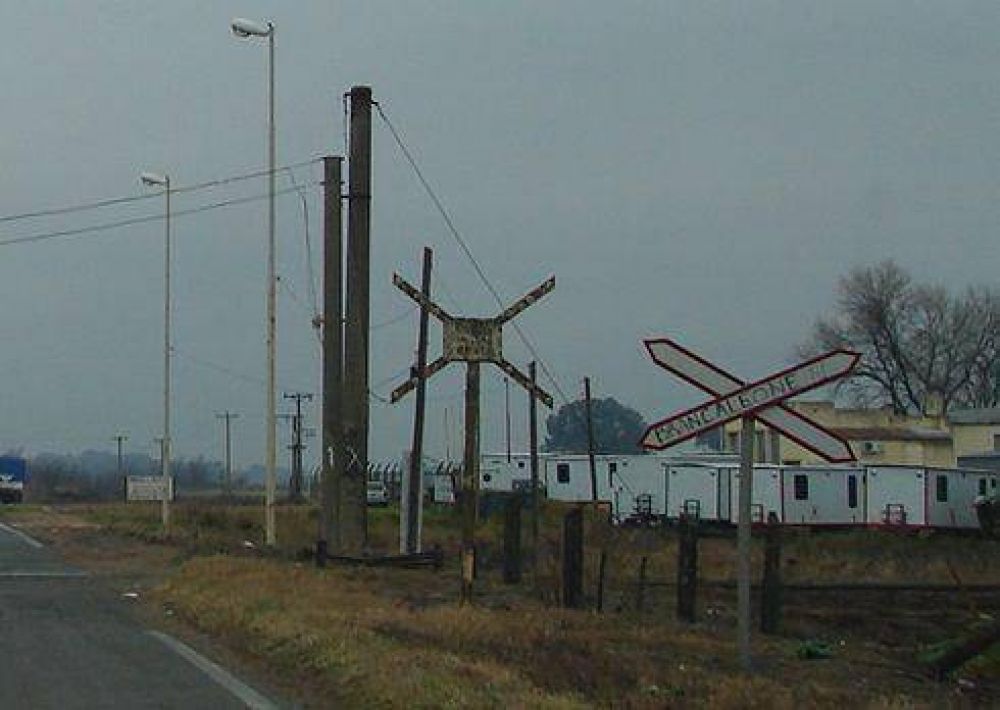 Animales sueltos en Ruta 65