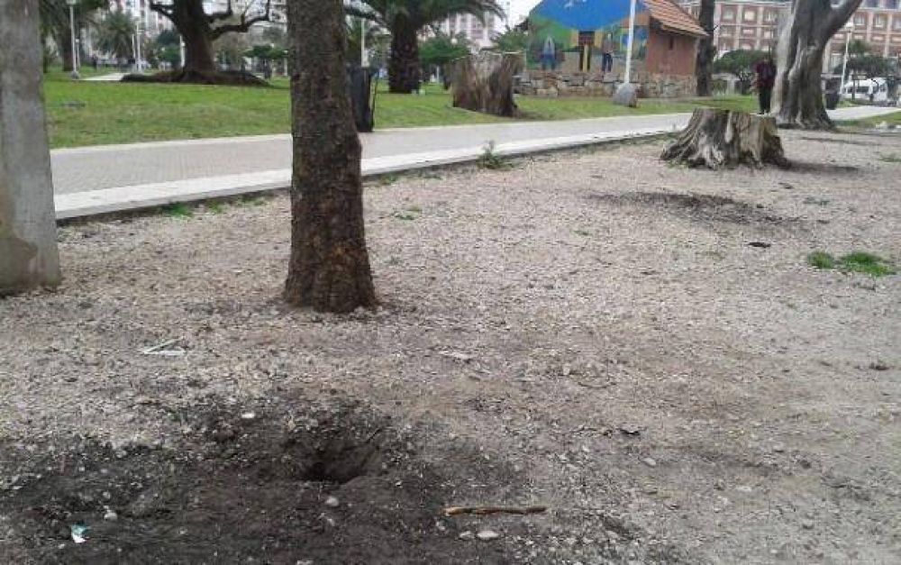Retiraron el alambrado de la Plaza Col�n