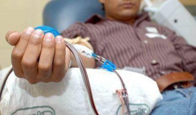 Legislatura: Modificaron ley de donaci�n de sangre para evitar discriminaci�n