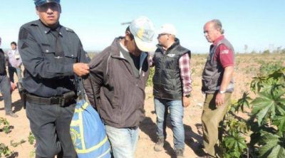 AFIP detiene a cuatro personas por explotaci�n laboral de ni�os y trata de personas