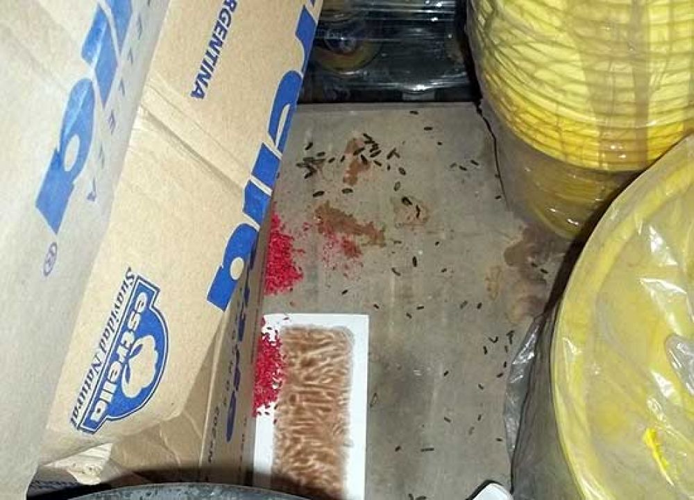 Clausuran una distribuidora de comestibles en barrio Sarmiento