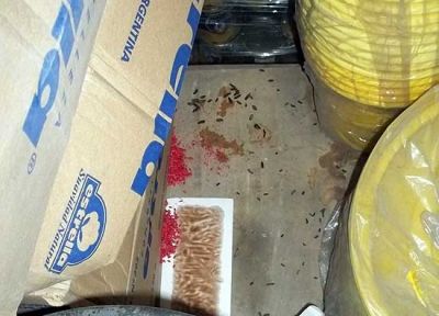 Clausuran una distribuidora de comestibles en barrio Sarmiento