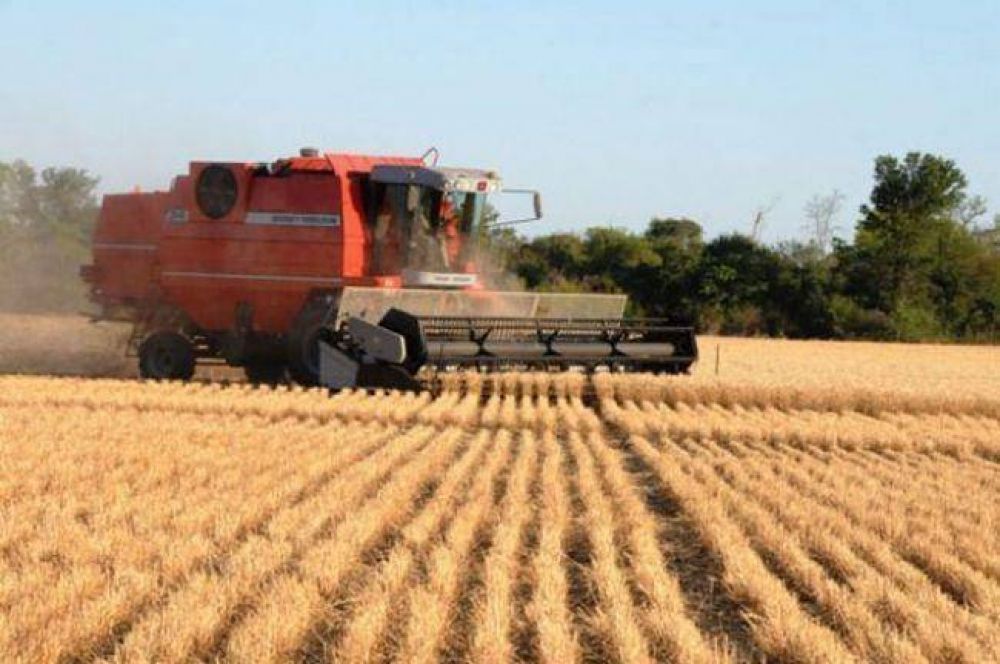 Lanzan operatoria �nica de financiamiento para cereales y oleaginosas