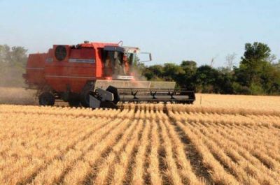 Lanzan operatoria �nica de financiamiento para cereales y oleaginosas