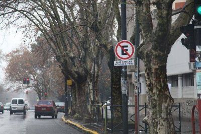 La Plata: Cambios en el ordenamiento del tr�nsito en 1 de 44 a 54