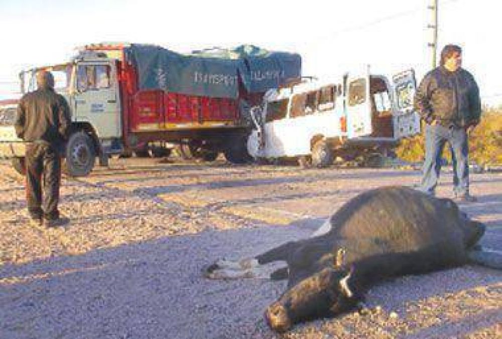UATRE pedir� informes por el accidente de cosecheros