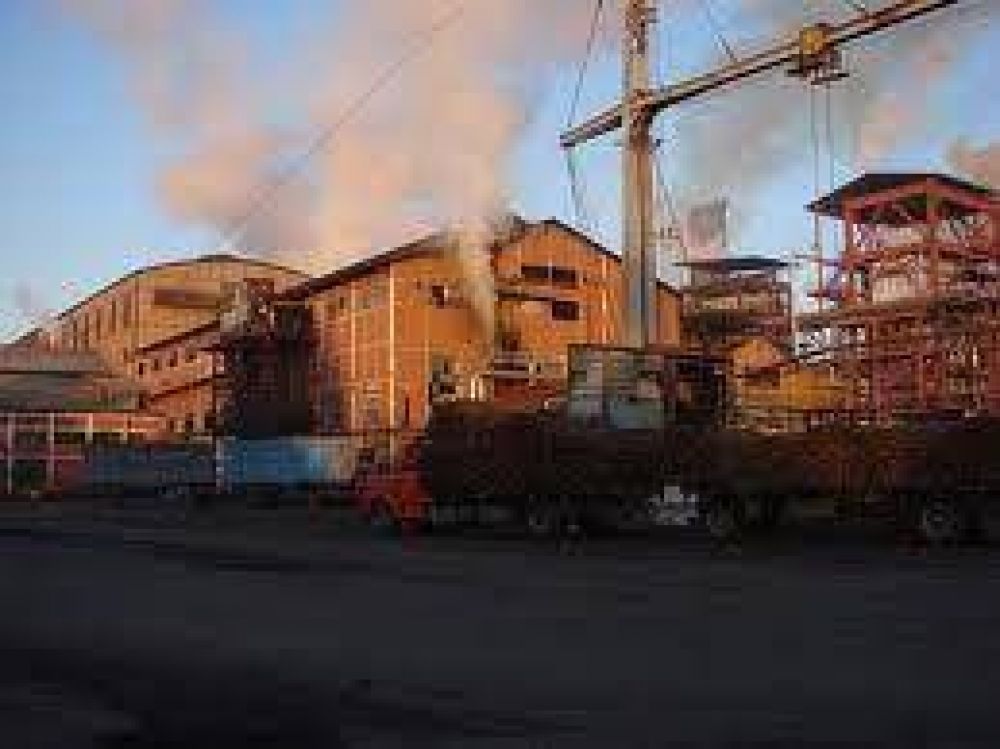 Industriales azucareros deben informar sus planes de exportaciones