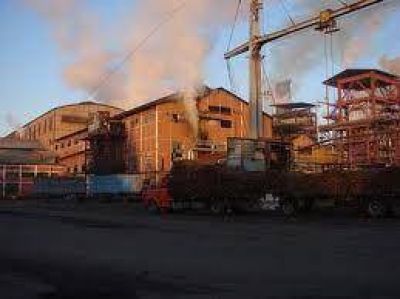 Industriales azucareros deben informar sus planes de exportaciones