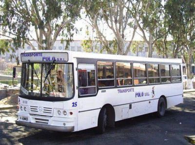 Chocaron un micro y un auto: una pasajera result� herida y fue internada