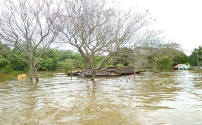 La Provincia reclam� a Yacyret� y env�a una comitiva fiscalizadora a la isla Apip�