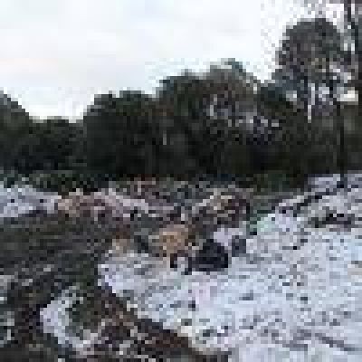 A la espera de la planta, los residuos se acumulan sin tratamiento en el antiguo basural