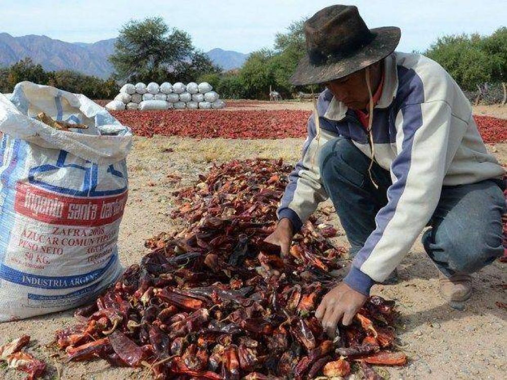 Los pimentoneros de San Carlos, en cr�tica situaci�n