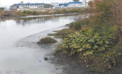 Por falta de obras del macrismo, el Cilda�ez es una cloaca a cielo abierto