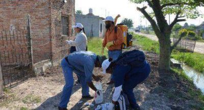 Contin�a campa�a de prevenci�n del dengue