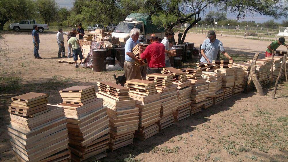 Entregar�n m�s de $ 12 millones para proteger el bosque nativo