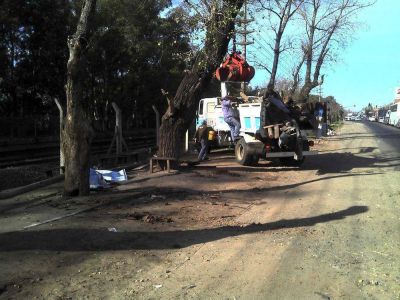 Fueron retiradas parrillas clandestinas sobre Ruta 8