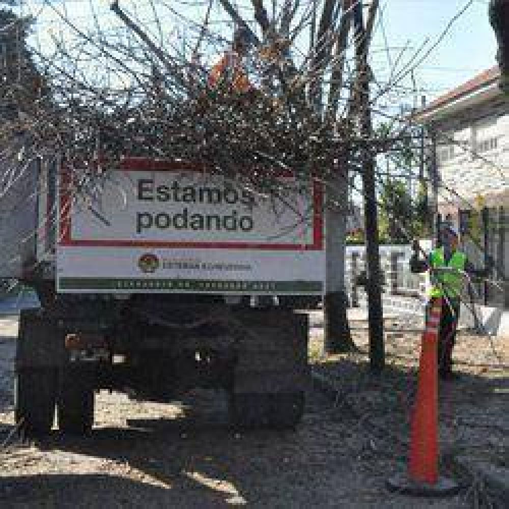 Echeverr�a: Se intensifica la poda en el municipio