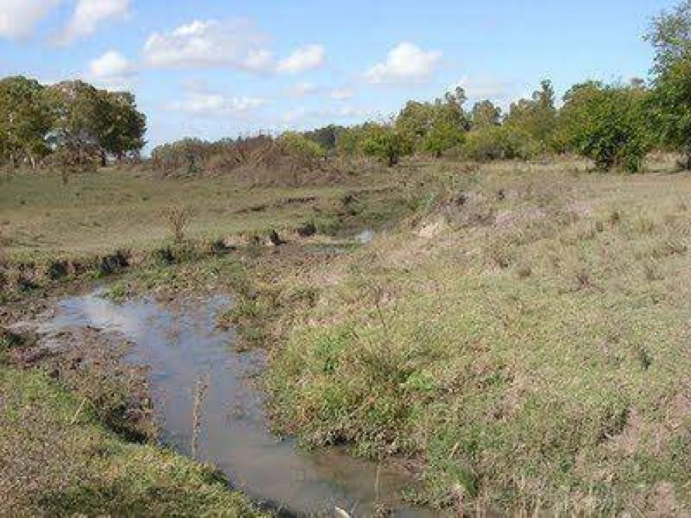 Equipos municipales realizan limpieza en el Arroyo Las Piedras