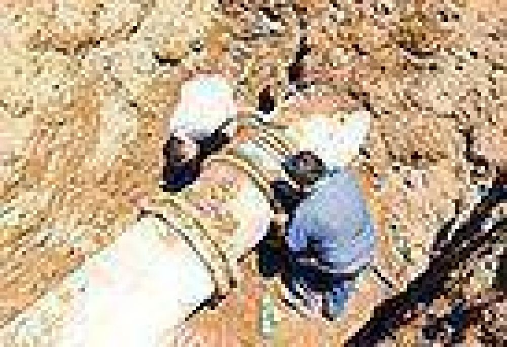 Otra rotura en el Acueducto del Colorado   
