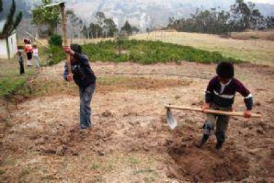 Zapala-Rinc�n: Alarman los �ndices crecientes de trabajo adolescente