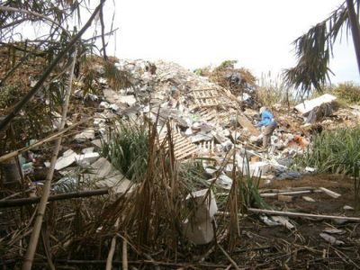 Contaminaci�n en la ribera