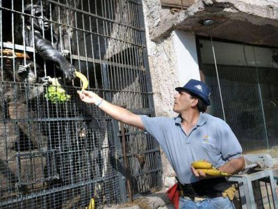 Filippo quiere que los visitantes caminen entre los animales