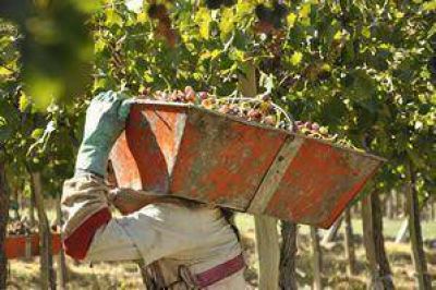  Buscan optimizar la log�stica de producci�n	