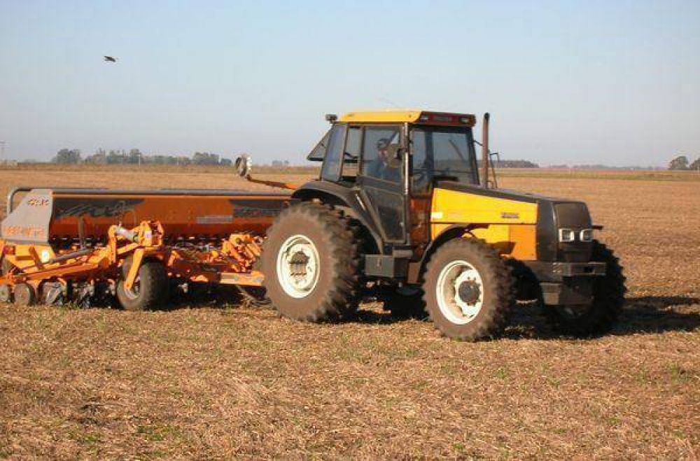 Aseguran que la siembra de trigo creci� no menos de un 15% en campos de Jun�n