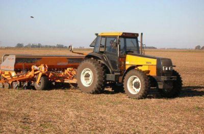 Aseguran que la siembra de trigo creci� no menos de un 15% en campos de Jun�n